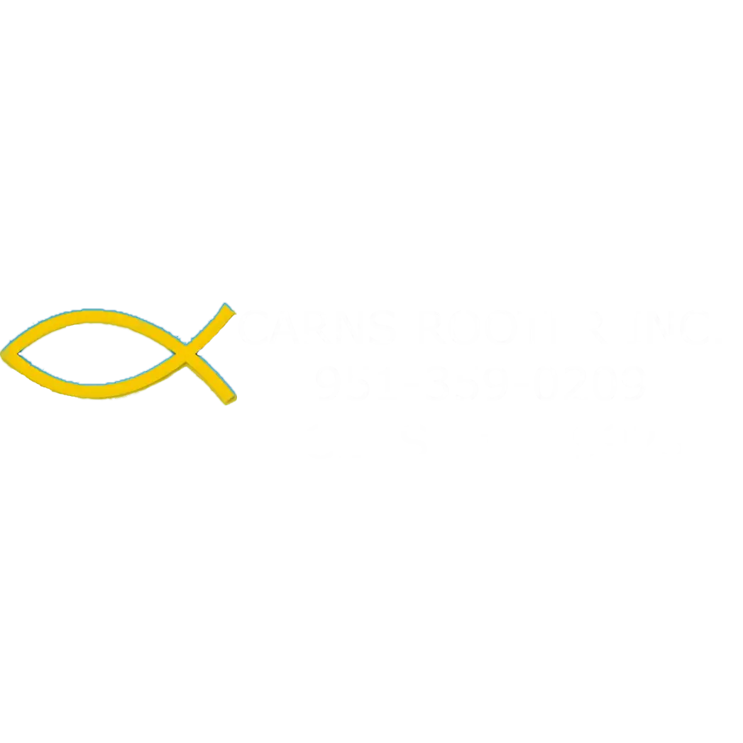 CARNS ROOTER INC