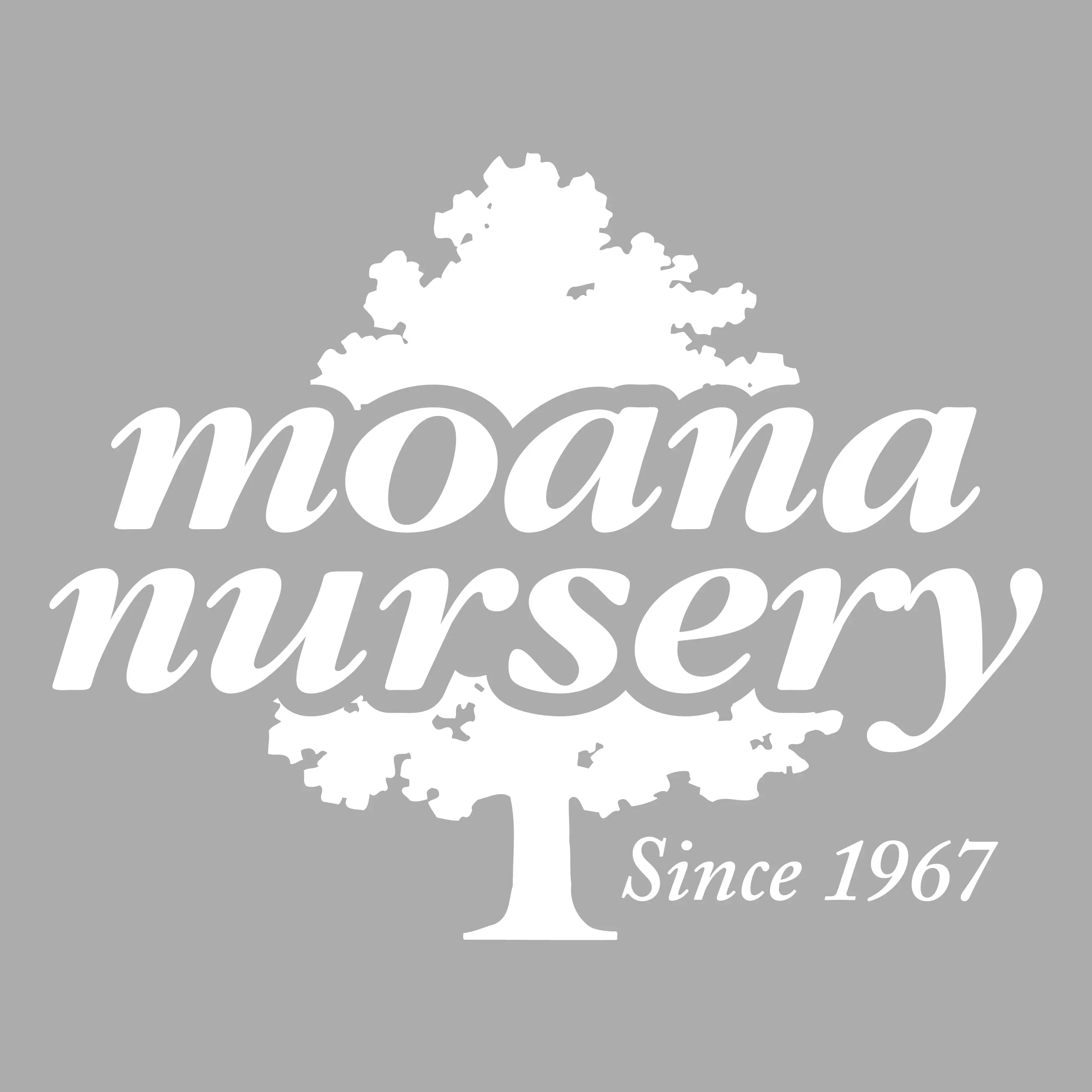 MOANA NURSERY