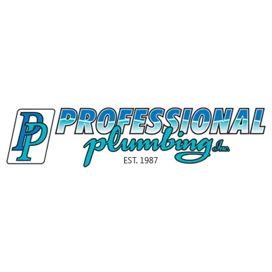 PROFESSIONAL PLUMBING INC